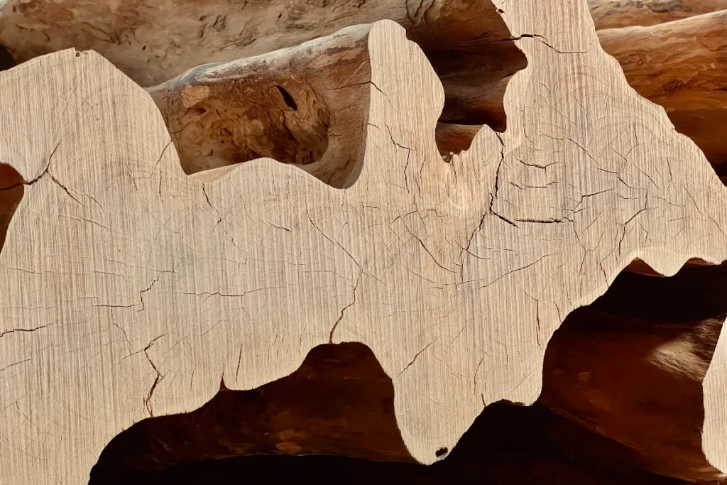 Six Senses Crans-Montana. Design details