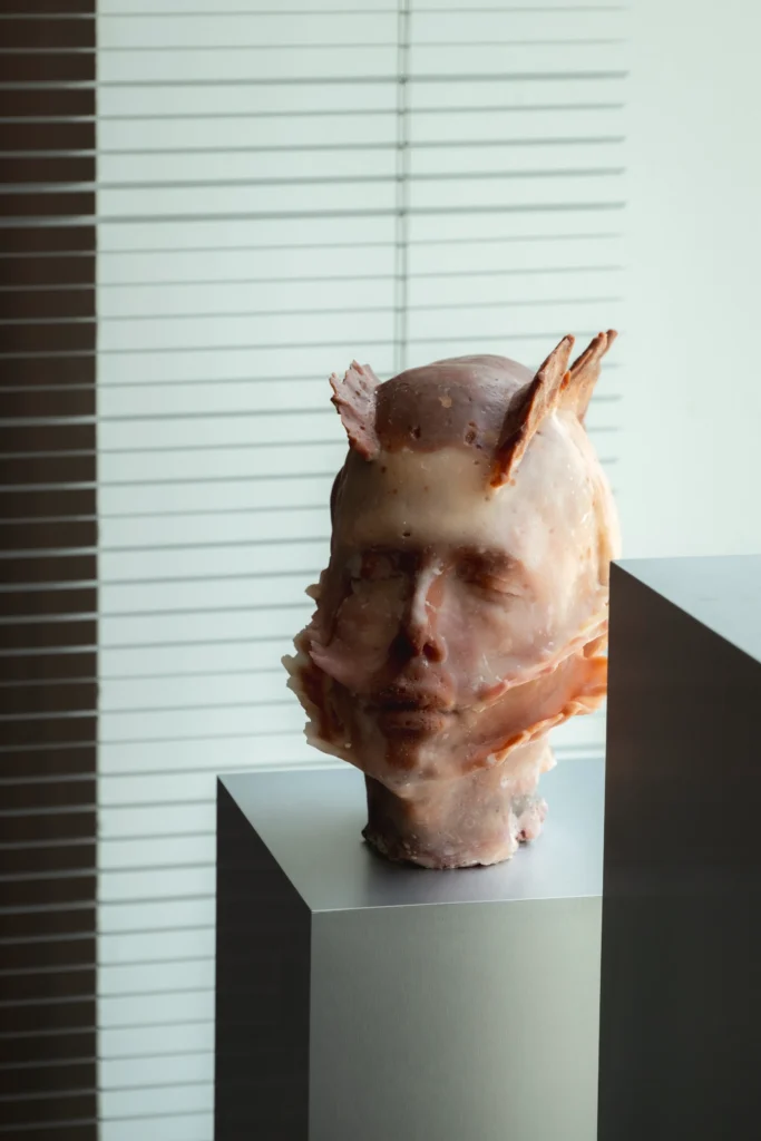 Agnes Questionmark, Self-Portrait, 2026