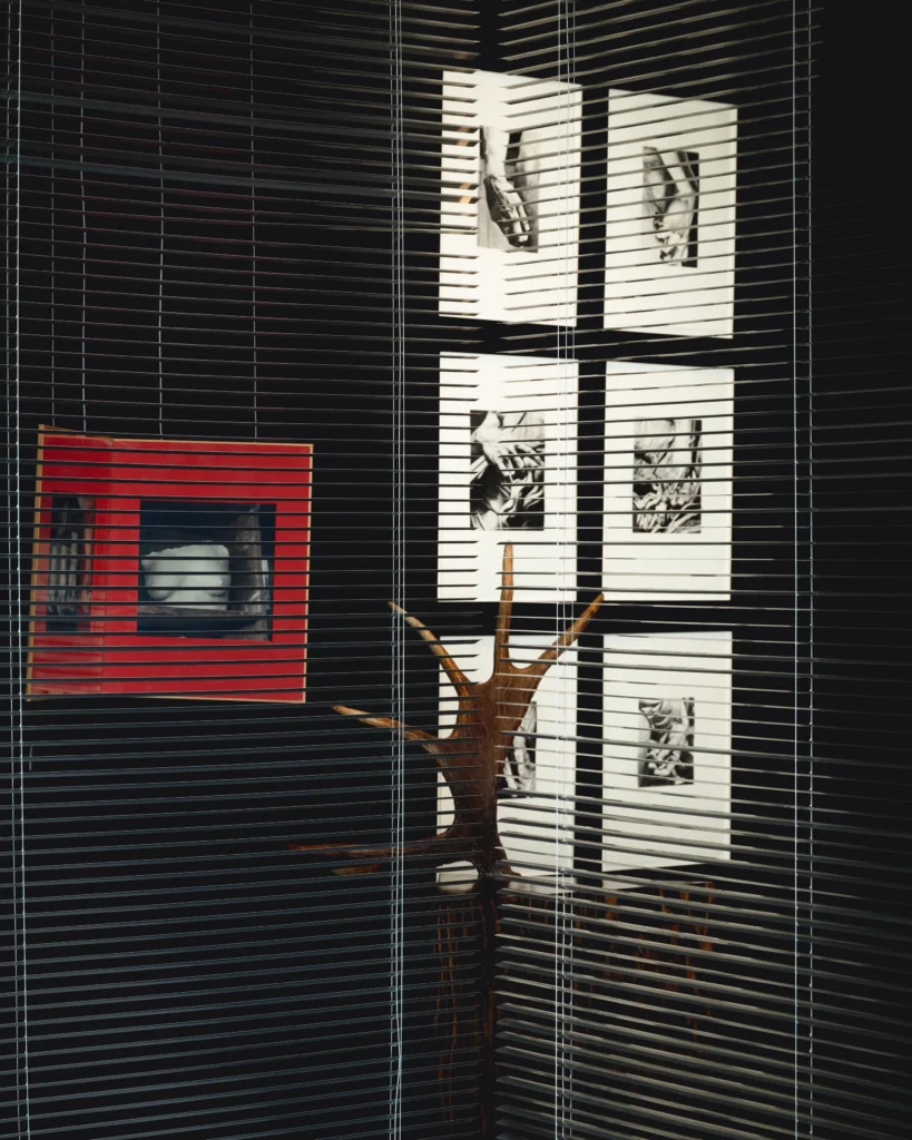 Exhibition view